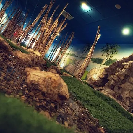 Отель Center Main Franken